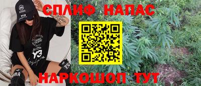 тгк Сланцы