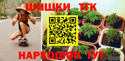 тгк Сланцы