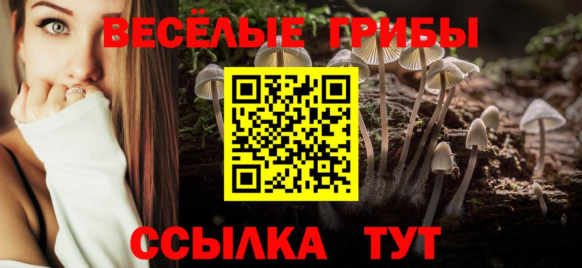 Галлюциногенные грибы мицелий Новошахтинск