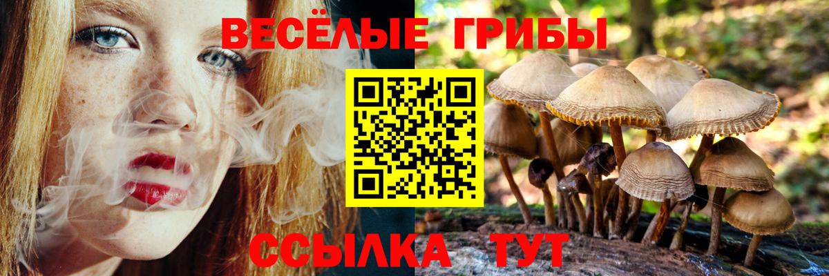 Псилоцибиновые грибы прущие грибы  Псилоцибиновые грибы Psilocybine cubensis  Вход с VPN  Новошахтинск 